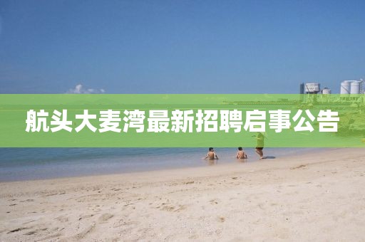 航頭大麥灣最新招聘啟事公告