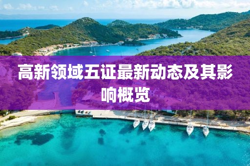 高新領(lǐng)域五證最新動態(tài)及其影響概覽
