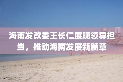 海南發(fā)改委王長仁展現(xiàn)領導擔當，推動海南發(fā)展新篇章