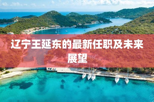 遼寧王延?xùn)|的最新任職及未來展望