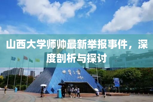 山西大學(xué)師帥最新舉報(bào)事件，深度剖析與探討