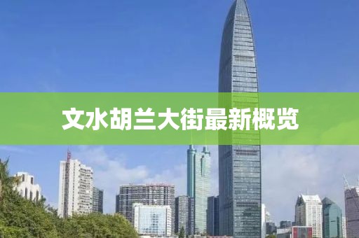 文水胡蘭大街最新概覽