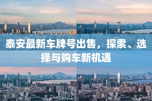 泰安最新車(chē)牌號(hào)出售，探索、選擇與購(gòu)車(chē)新機(jī)遇