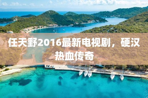 任天野2016最新電視劇，硬漢熱血傳奇