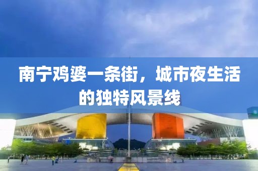 南寧雞婆一條街，城市夜生活的獨特風(fēng)景線