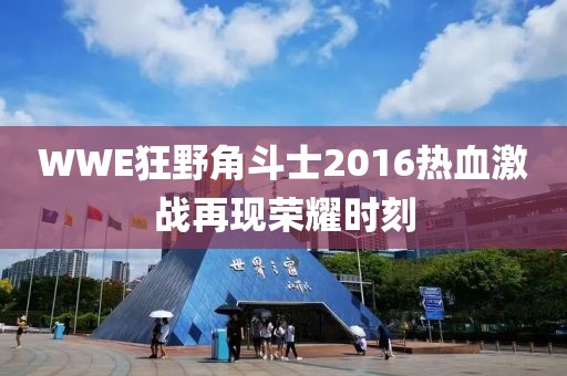 WWE狂野角斗士2016熱血激戰(zhàn)再現(xiàn)榮耀時刻