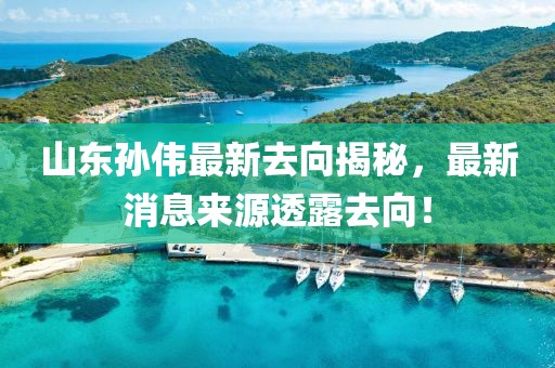 山東孫偉最新去向揭秘，最新消息來源透露去向！