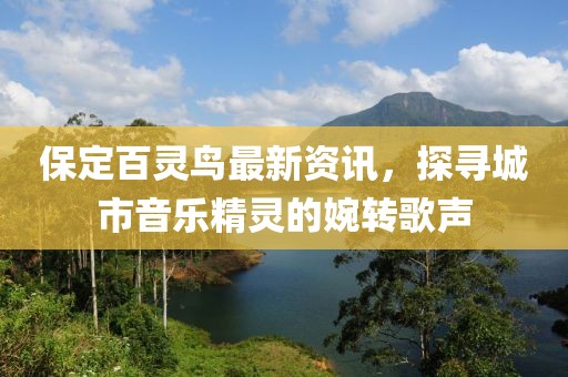 保定百靈鳥(niǎo)最新資訊，探尋城市音樂(lè)精靈的婉轉(zhuǎn)歌聲