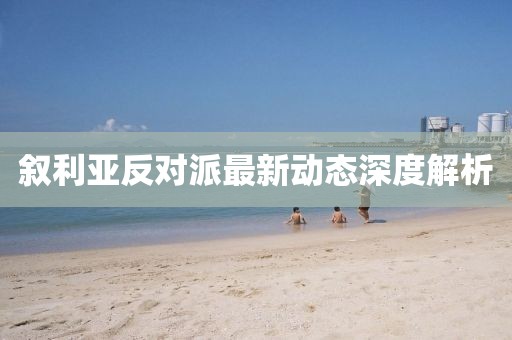 敘利亞反對(duì)派最新動(dòng)態(tài)深度解析