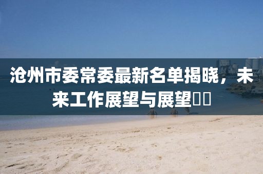 滄州市委常委最新名單揭曉，未來工作展望與展望??