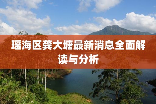 瑤海區(qū)龔大塘最新消息全面解讀與分析