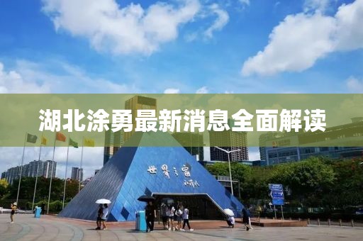 湖北涂勇最新消息全面解讀