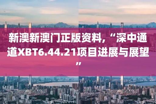 新澳新澳門正版資料,“深中通道XBT6.44.21項(xiàng)目進(jìn)展與展望”