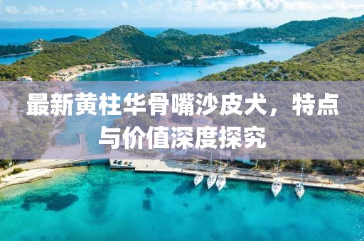 最新黃柱華骨嘴沙皮犬，特點(diǎn)與價(jià)值深度探究