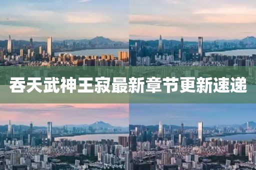 吞天武神王寂最新章節(jié)更新速遞
