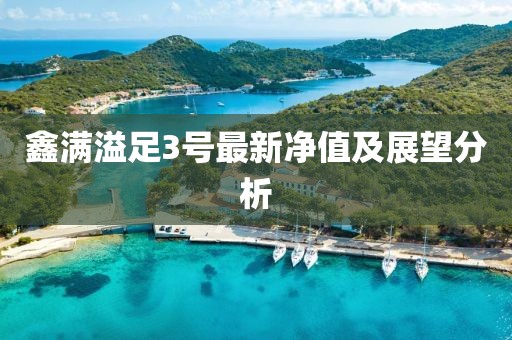 鑫滿溢足3號最新凈值及展望分析