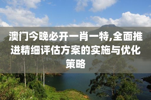 澳門今晚必開一肖一特,全面推進(jìn)精細(xì)評估方案的實(shí)施與優(yōu)化策略