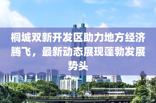桐城雙新開發(fā)區(qū)助力地方經(jīng)濟騰飛，最新動態(tài)展現(xiàn)蓬勃發(fā)展勢頭
