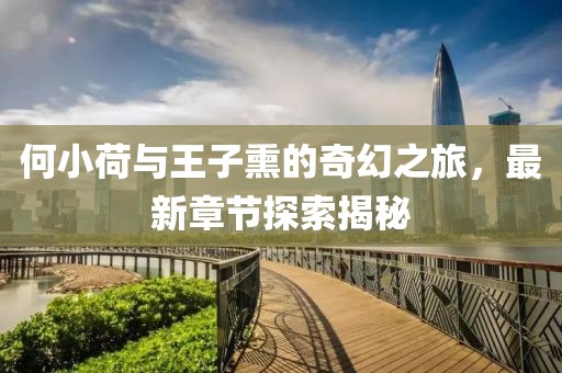 何小荷與王子熏的奇幻之旅，最新章節(jié)探索揭秘