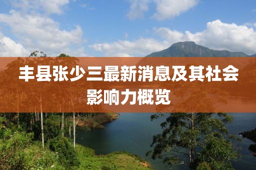 豐縣張少三最新消息及其社會影響力概覽