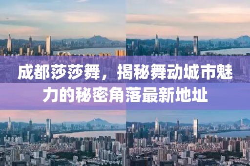 成都莎莎舞，揭秘舞動(dòng)城市魅力的秘密角落最新地址