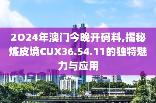 2O24年澳門今晚開碼料,揭秘?zé)捚ぞ矯UX36.54.11的獨特魅力與應(yīng)用