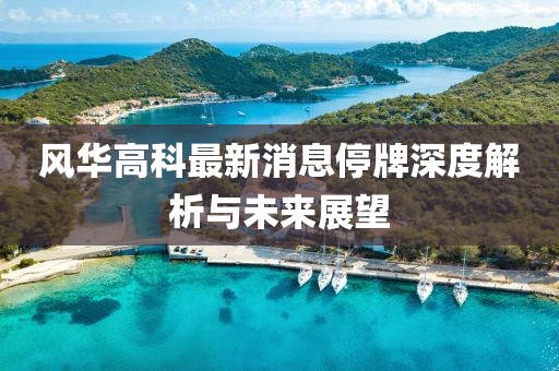 風(fēng)華高科最新消息停牌深度解析與未來展望