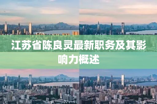 江蘇省陳良靈最新職務(wù)及其影響力概述