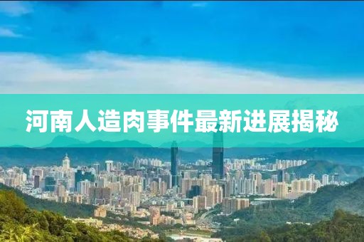 河南人造肉事件最新進展揭秘