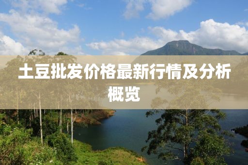 土豆批發(fā)價(jià)格最新行情及分析概覽