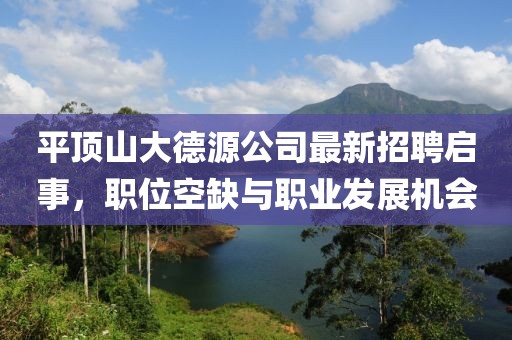 平頂山大德源公司最新招聘啟事，職位空缺與職業(yè)發(fā)展機會