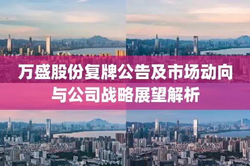 萬盛股份復(fù)牌公告及市場動向與公司戰(zhàn)略展望解析