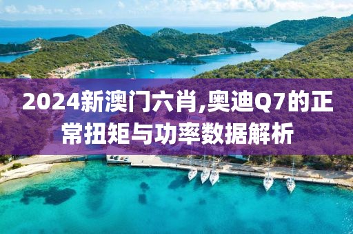 2024新澳門(mén)六肖,奧迪Q7的正常扭矩與功率數(shù)據(jù)解析