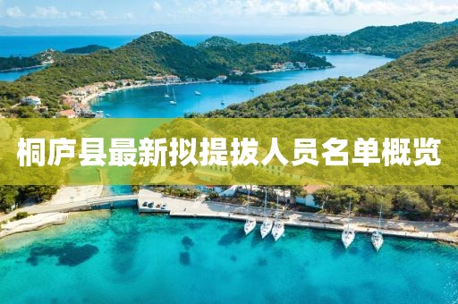 桐廬縣最新擬提拔人員名單概覽
