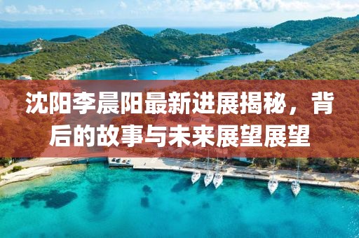 沈陽(yáng)李晨陽(yáng)最新進(jìn)展揭秘，背后的故事與未來(lái)展望展望