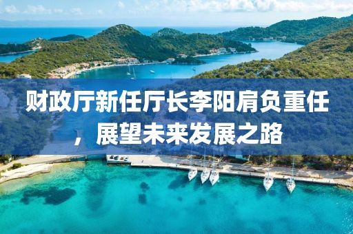 財(cái)政廳新任廳長(zhǎng)李陽(yáng)肩負(fù)重任，展望未來(lái)發(fā)展之路