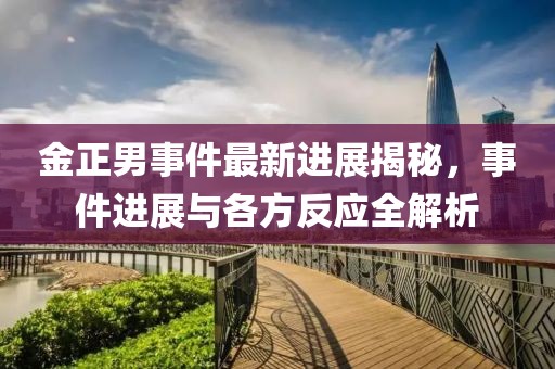 金正男事件最新進(jìn)展揭秘，事件進(jìn)展與各方反應(yīng)全解析