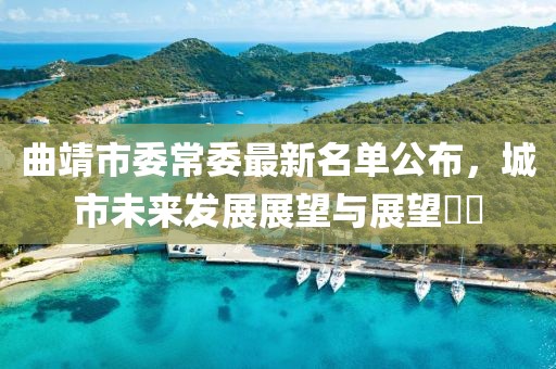 曲靖市委常委最新名單公布，城市未來(lái)發(fā)展展望與展望??