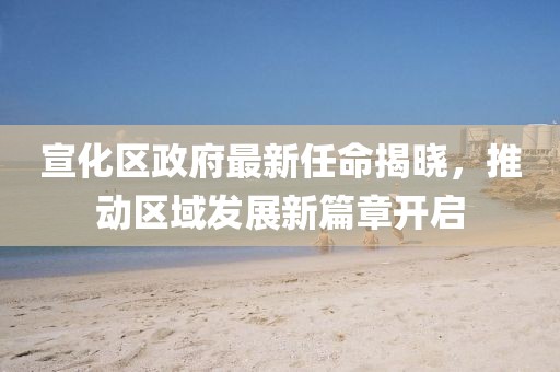 宣化區(qū)政府最新任命揭曉，推動(dòng)區(qū)域發(fā)展新篇章開(kāi)啟