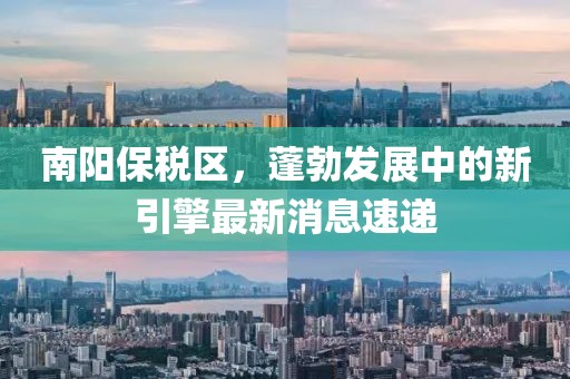 南陽保稅區(qū)，蓬勃發(fā)展中的新引擎最新消息速遞