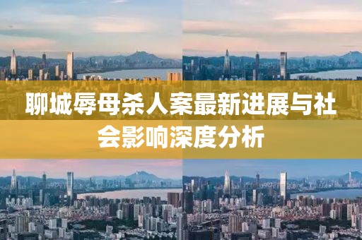 聊城辱母殺人案最新進(jìn)展與社會(huì)影響深度分析