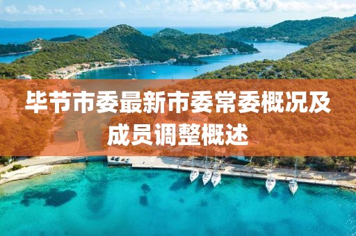畢節(jié)市委最新市委常委概況及成員調(diào)整概述
