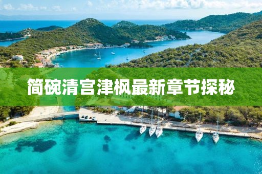 簡(jiǎn)碗清宮津楓最新章節(jié)探秘