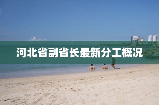 河北省副省長(zhǎng)最新分工概況
