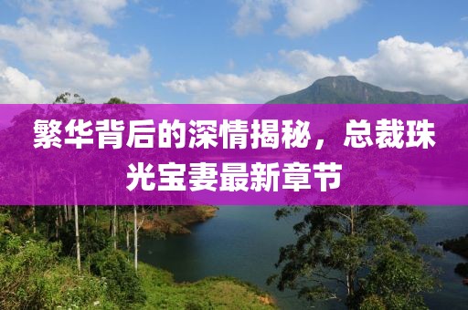 繁華背后的深情揭秘，總裁珠光寶妻最新章節(jié)