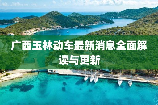 廣西玉林動(dòng)車最新消息全面解讀與更新