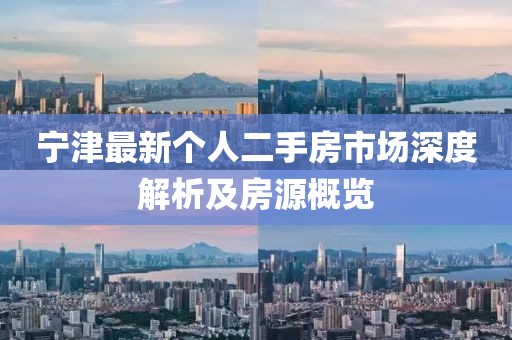 寧津最新個人二手房市場深度解析及房源概覽