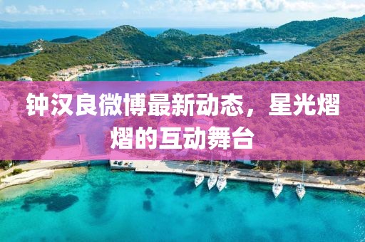 鐘漢良微博最新動態(tài)，星光熠熠的互動舞臺