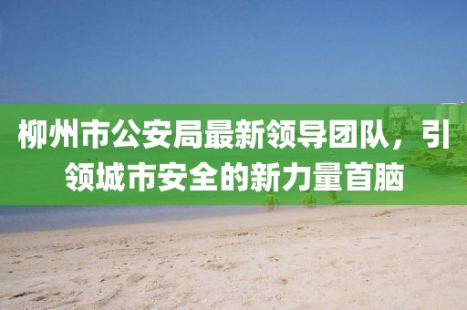 柳州市公安局最新領(lǐng)導團隊，引領(lǐng)城市安全的新力量首腦