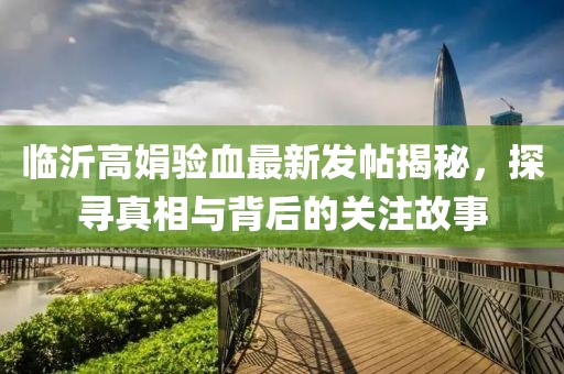 臨沂高娟驗血最新發(fā)帖揭秘，探尋真相與背后的關(guān)注故事